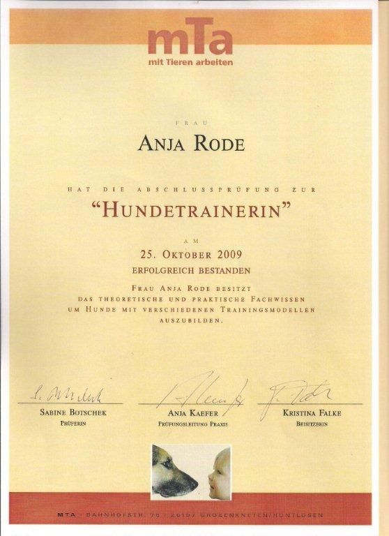 Hundetrainer