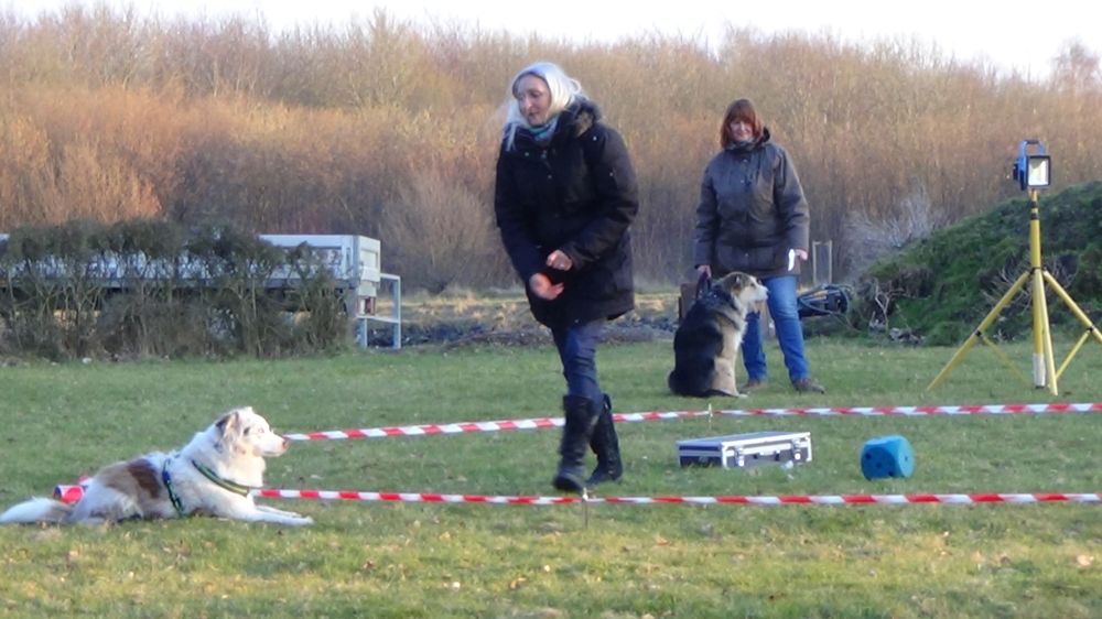 Hundesport Hannover Land