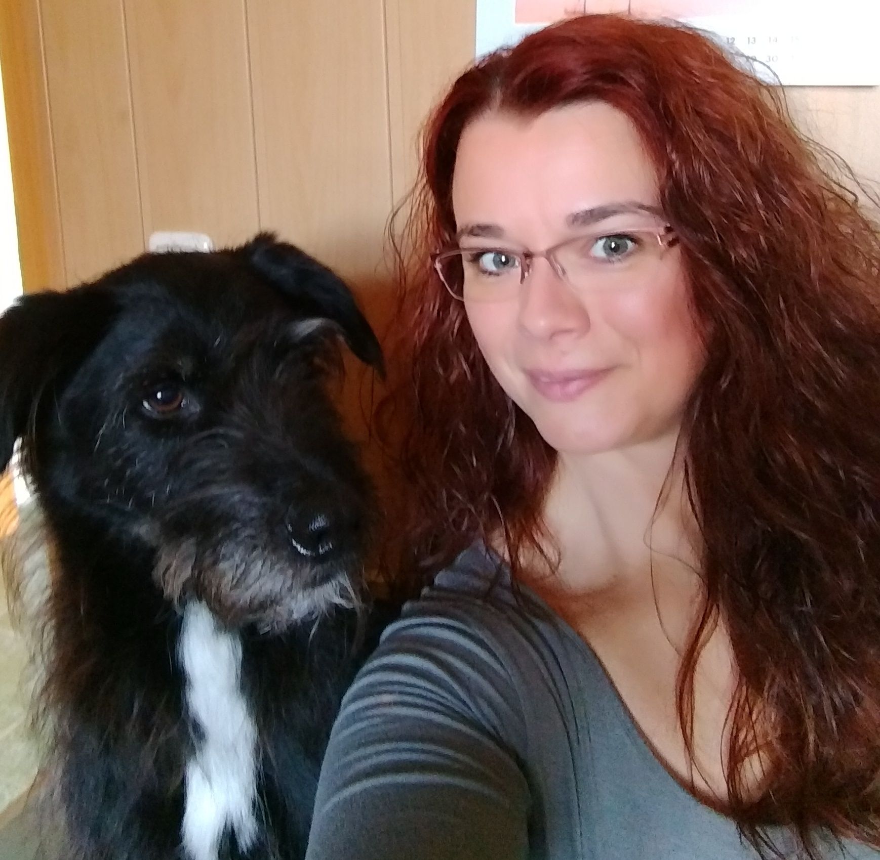 Hundetrainer Nienburg